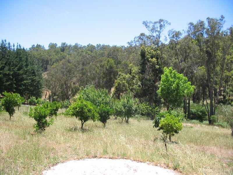 Lot 572 Farrell Street, Bridgetown WA 6255