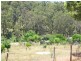 Lot 572 Farrell Street, Bridgetown WA 6255