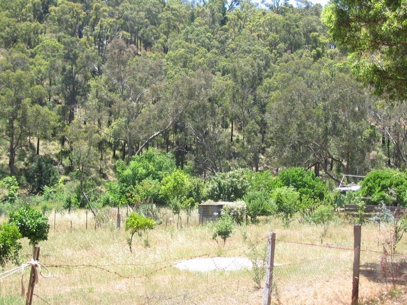 Lot 572 Farrell Street, Bridgetown WA 6255