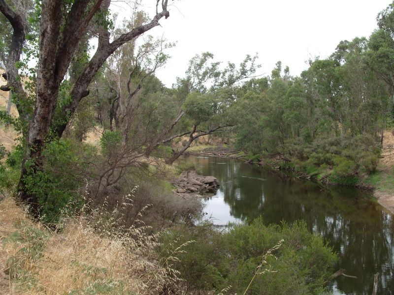 Brown Wheatley Road, Yornup WA 6256