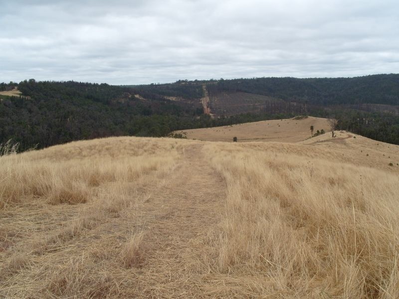 Brown Wheatley Road, Yornup WA 6256