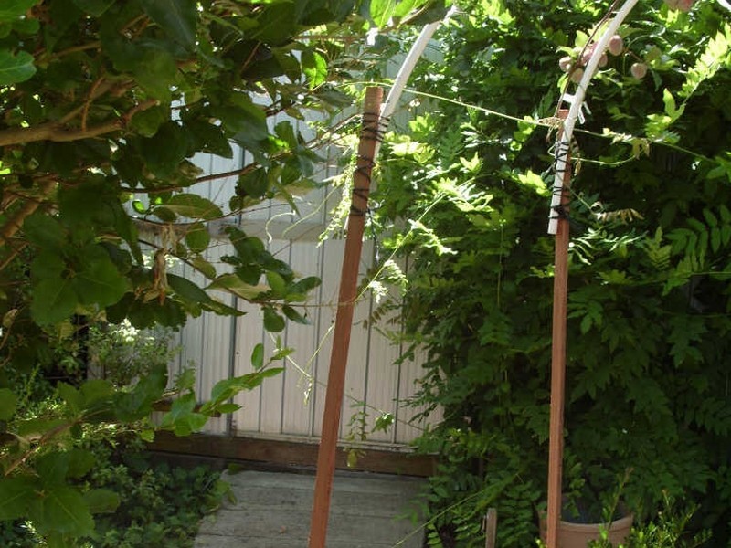 2 Rose Street, Bridgetown WA 6255