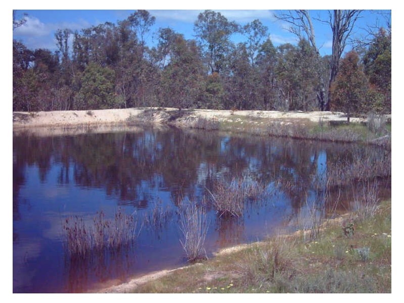 Lot 56 Cootayarup Road, Tonebridge WA 6244