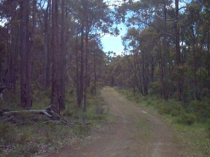 Lot 56 Cootayarup Road, Tonebridge WA 6244