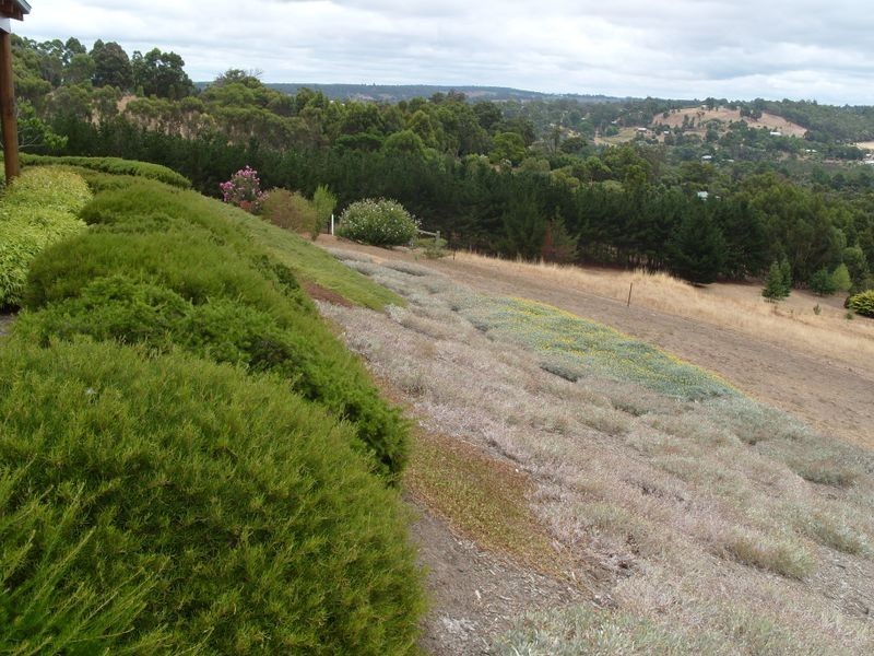 12 Jacaranda Place, Bridgetown WA 6255