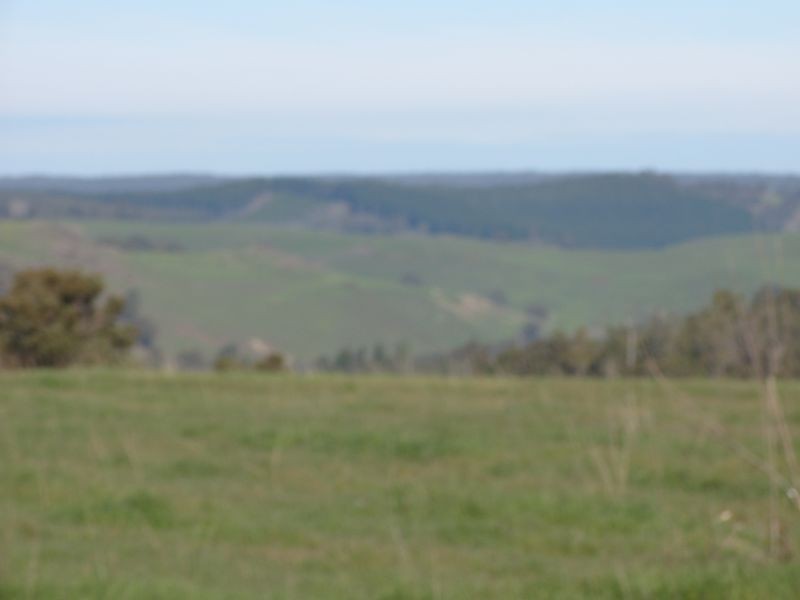 Lot 223 Emerson Avenue, Bridgetown WA 6255