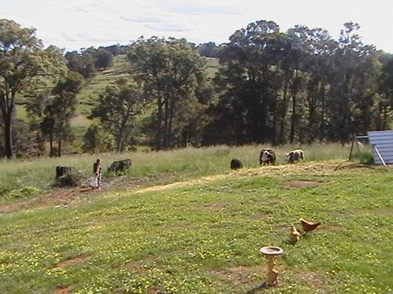 35 Hester Hall Road, Bridgetown WA 6255