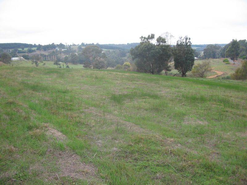 46 Flintoff Road, Bridgetown WA 6255