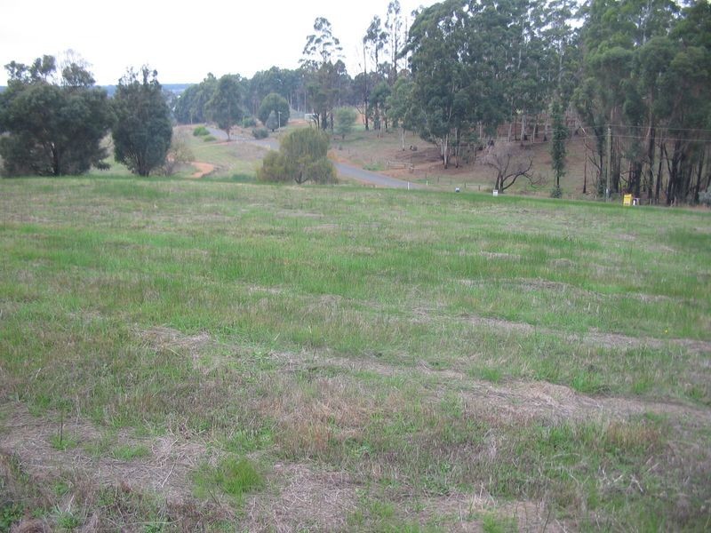 46 Flintoff Road, Bridgetown WA 6255