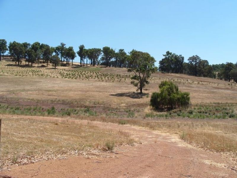 46 Flintoff Road, Bridgetown WA 6255