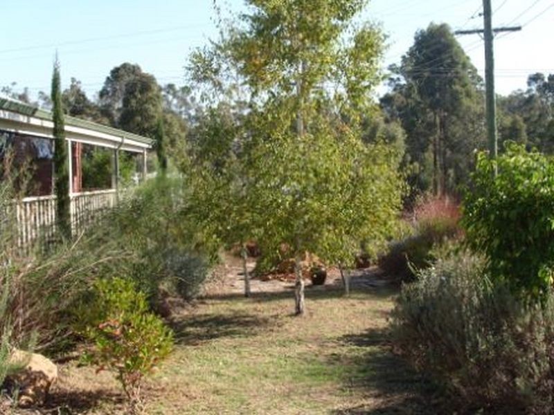 88 Telluride Street, Greenbushes WA 6254