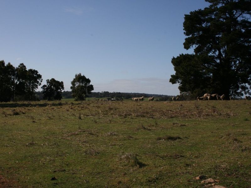 Lot 217 Ridgeview Ave Ridgeview Estate, Boyup Brook WA 6244