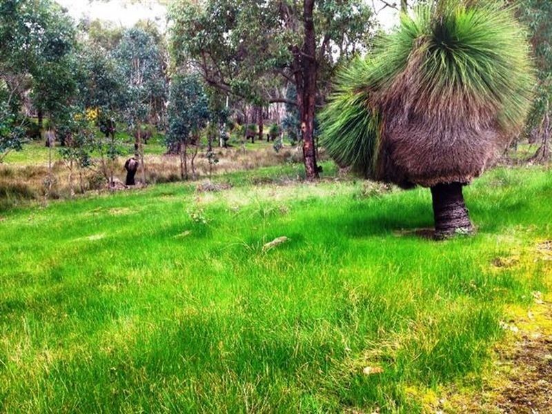 Lot 224 Ridgeview Estate, Boyup Brook WA 6244