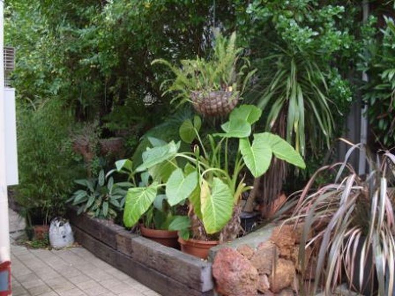 19 Coronation Street, Bridgetown WA 6255