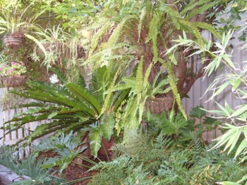 19 Coronation Street, Bridgetown WA 6255