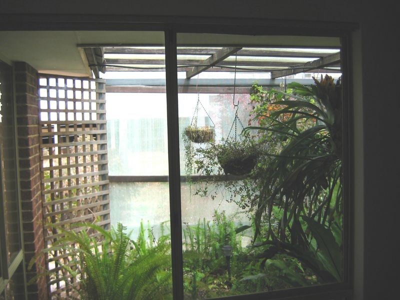 50 Dean Street, Bridgetown WA 6255