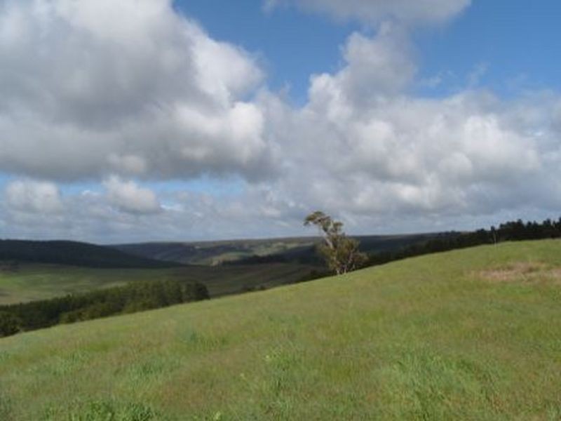 124 Golden Ash Rise Bridgetown Gardens, Bridgetown WA 6255