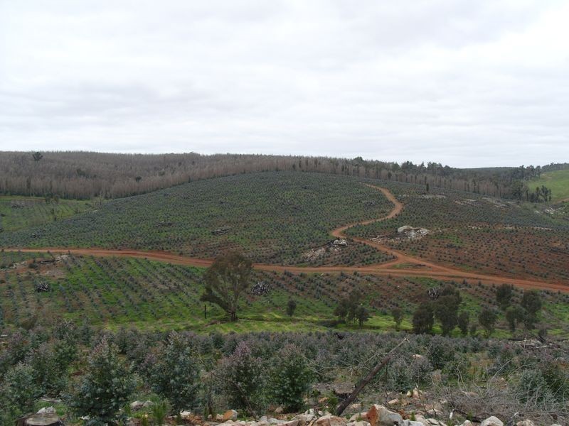 3594 South Western Hwy, Bridgetown WA 6255