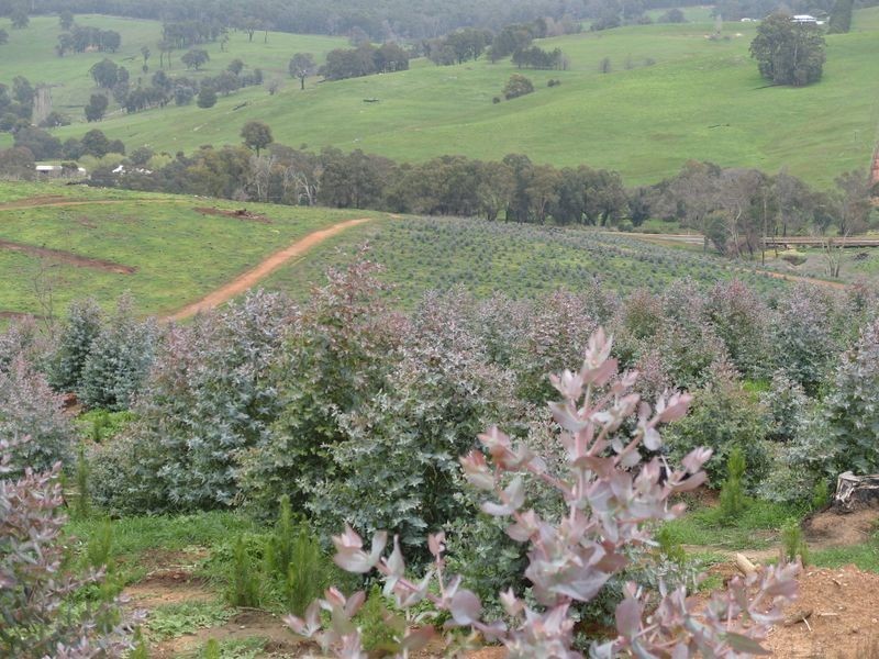 3594 South Western Hwy, Bridgetown WA 6255