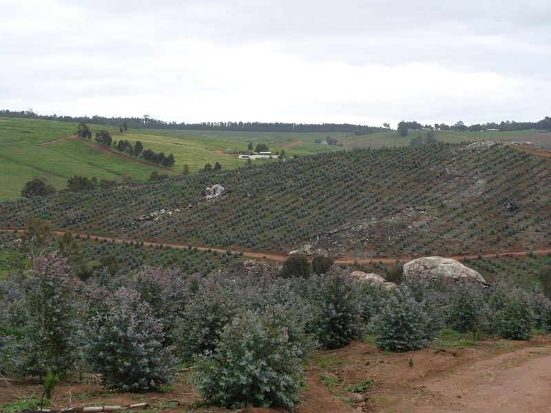 3594 South Western Hwy, Bridgetown WA 6255