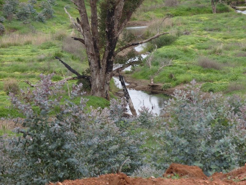 3594 South Western Hwy, Bridgetown WA 6255