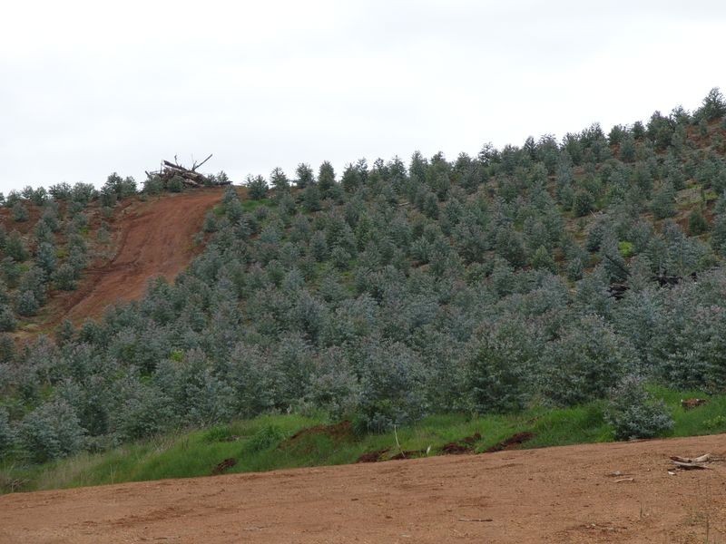 3594 South Western Hwy, Bridgetown WA 6255