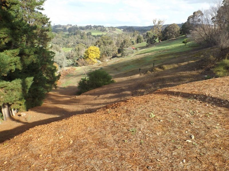 20 Rosella Rise, Bridgetown WA 6255