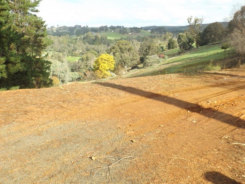 20 Rosella Rise, Bridgetown WA 6255