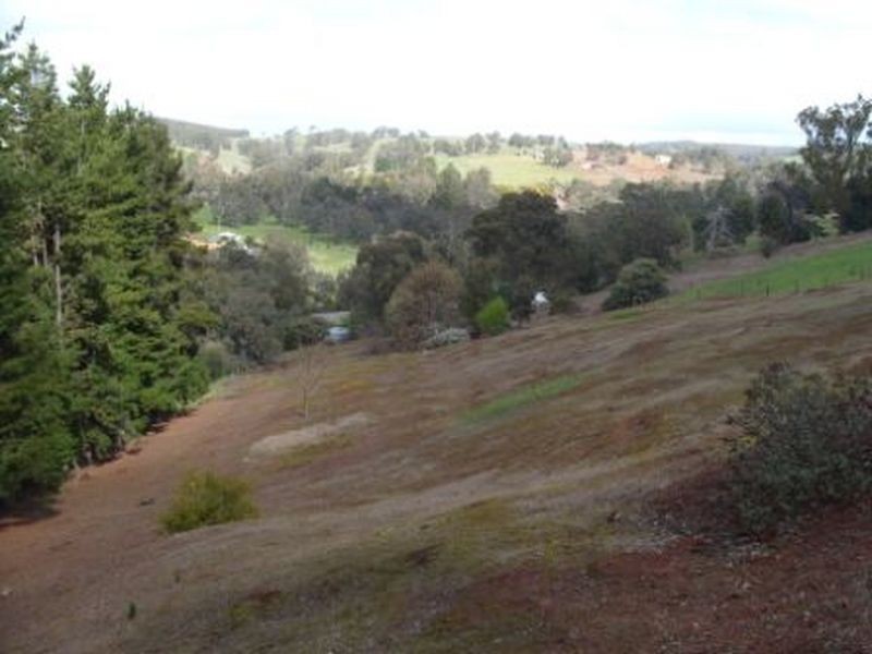 20 Rosella Rise, Bridgetown WA 6255