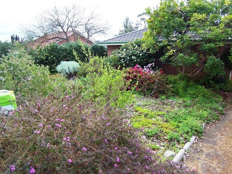 59 Blechynden Street, Bridgetown WA 6255