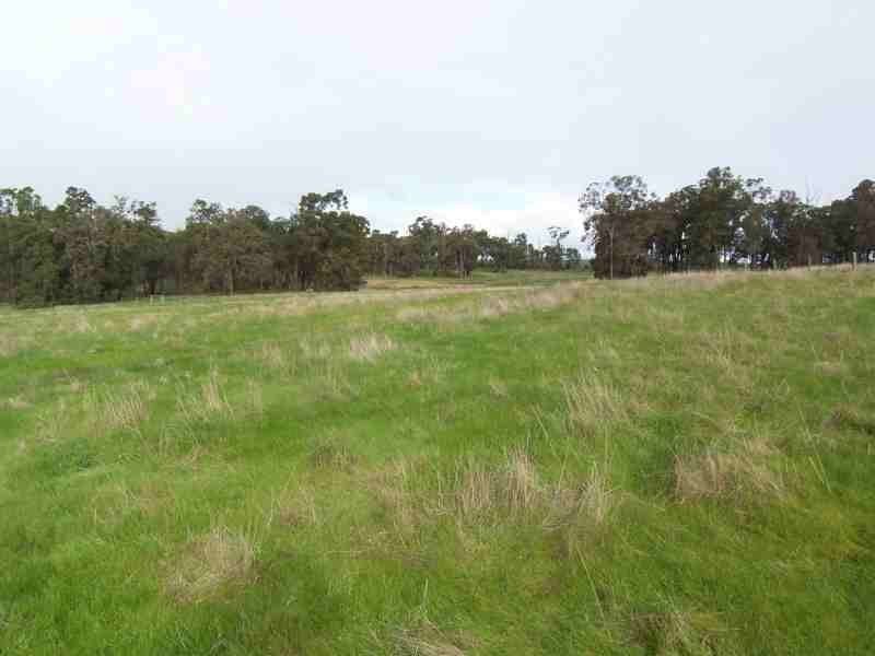 Lot 232 Ridgeview Ave Ridgeview Estate, Bridgetown WA 6255