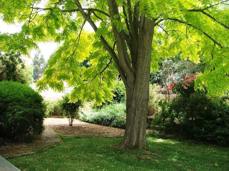 Lot 31 Blackwood Park Rd (Hester Brook), Bridgetown WA 6255