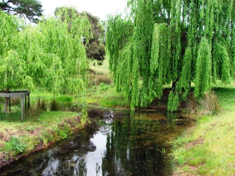 Lot 31 Blackwood Park Rd (Hester Brook), Bridgetown WA 6255