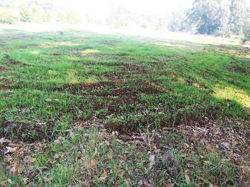 58 Moore Street, Balingup WA 6253