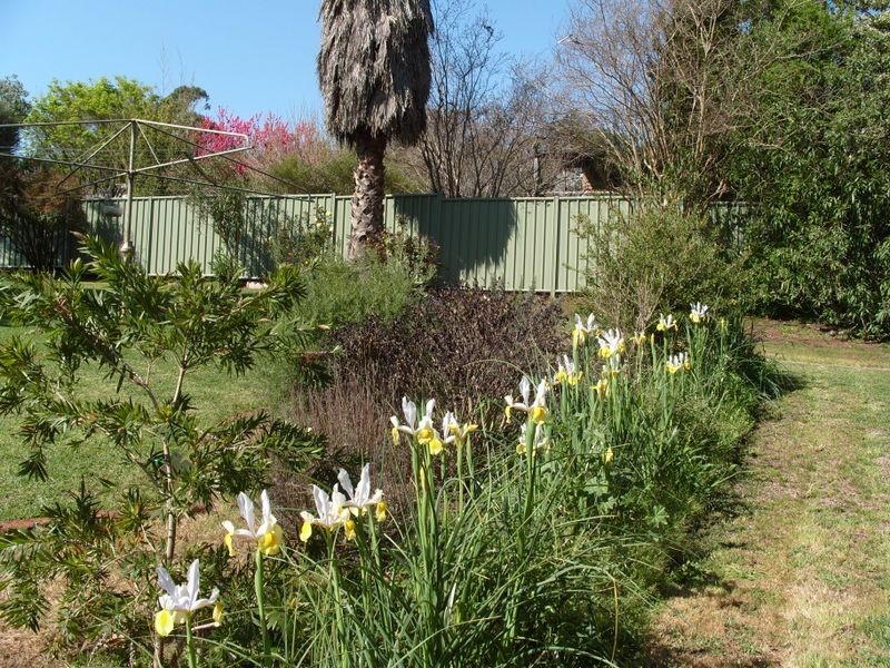 12 Phillips St, Bridgetown WA 6255