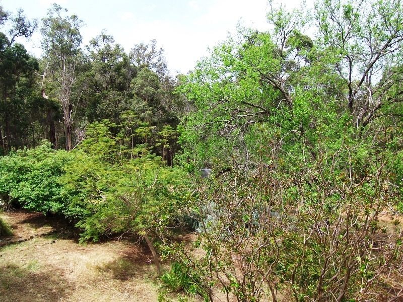 Lot 292 Eedle Terrace, Bridgetown WA 6255
