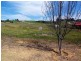 105 Robinia Way, Bridgetown WA 6255