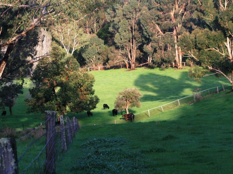 Lot 150 Brockman Hwy, Bridgetown WA 6255