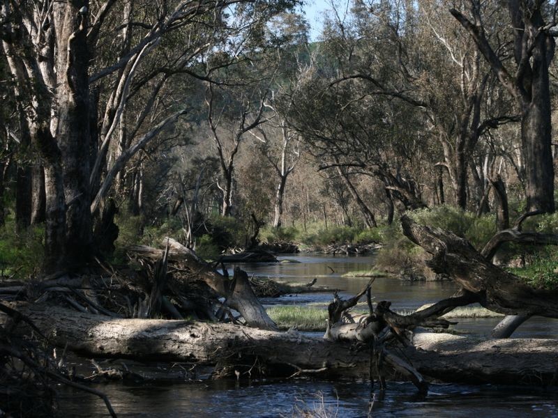 Lot 150 Brockman Hwy, Bridgetown WA 6255