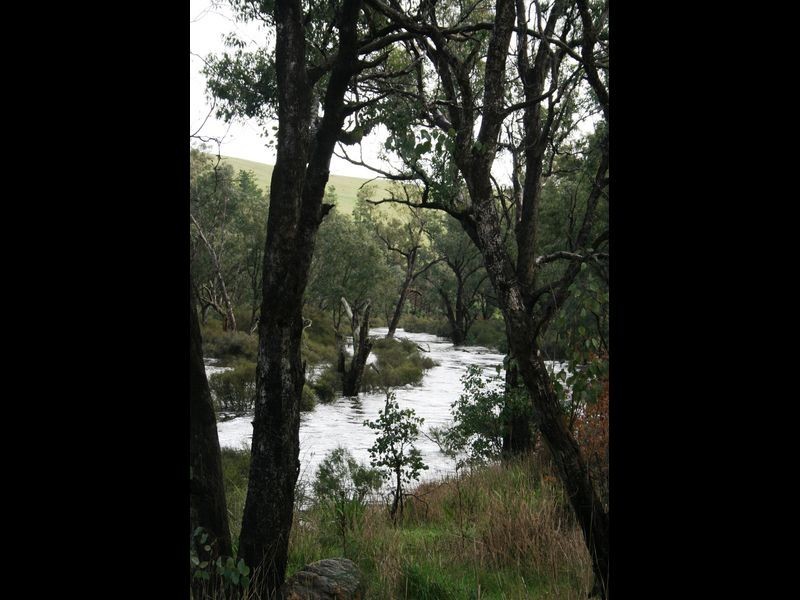 Lot 150 Brockman Hwy, Bridgetown WA 6255