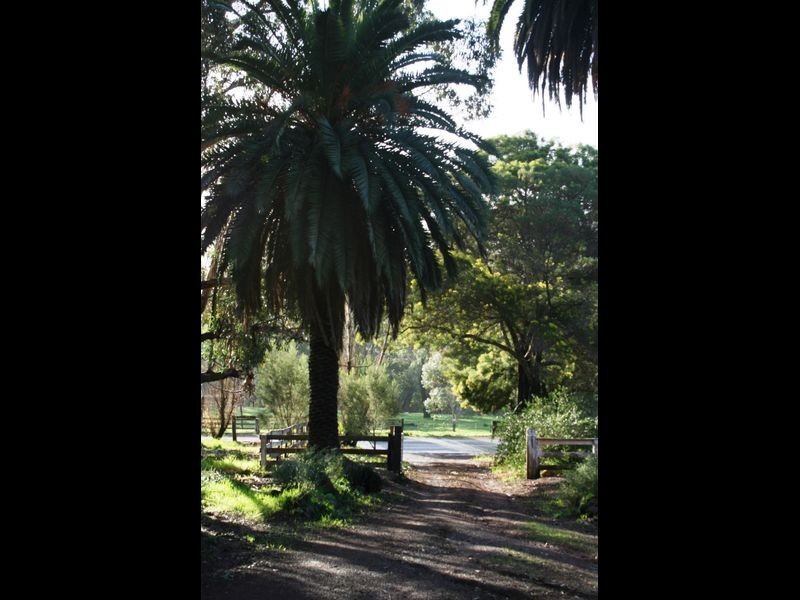 Lot 150 Brockman Hwy, Bridgetown WA 6255