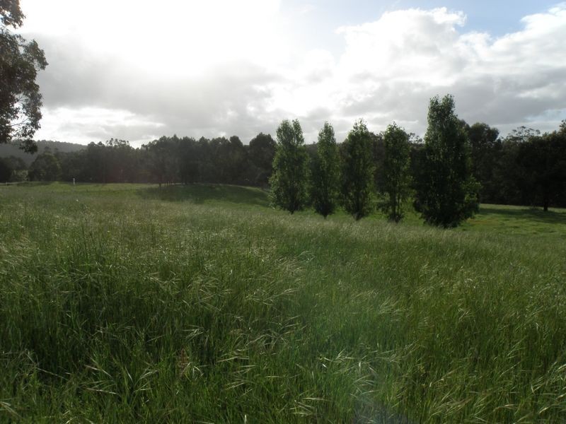 Lot 150 Brockman Hwy, Bridgetown WA 6255