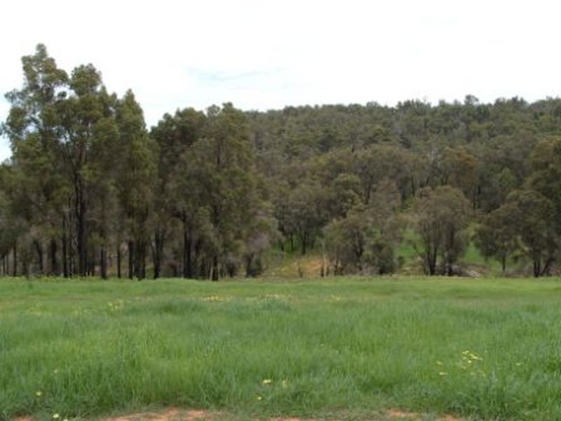Lot 465 Carnegie Close Highlands Estate, Bridgetown WA 6255