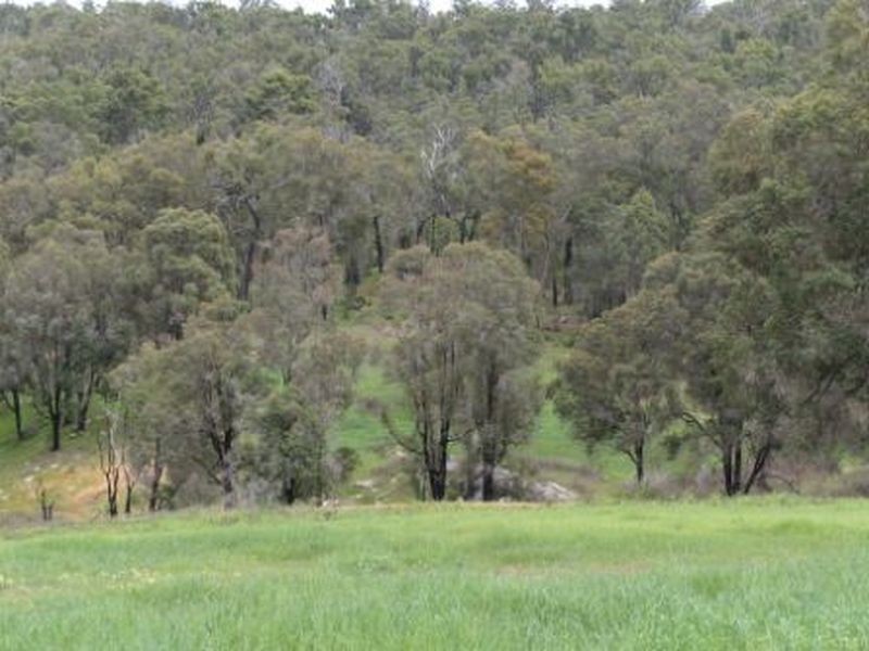 Lot 465 Carnegie Close Highlands Estate, Bridgetown WA 6255