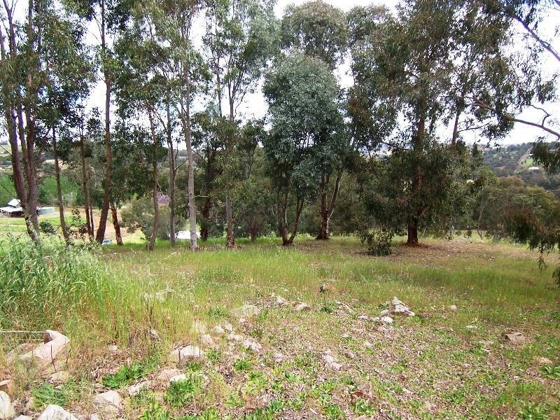 Lot 31 Nickajack Place, Bridgetown WA 6255