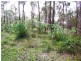 20 & 22 Stewart Street, Boyup Brook WA 6244