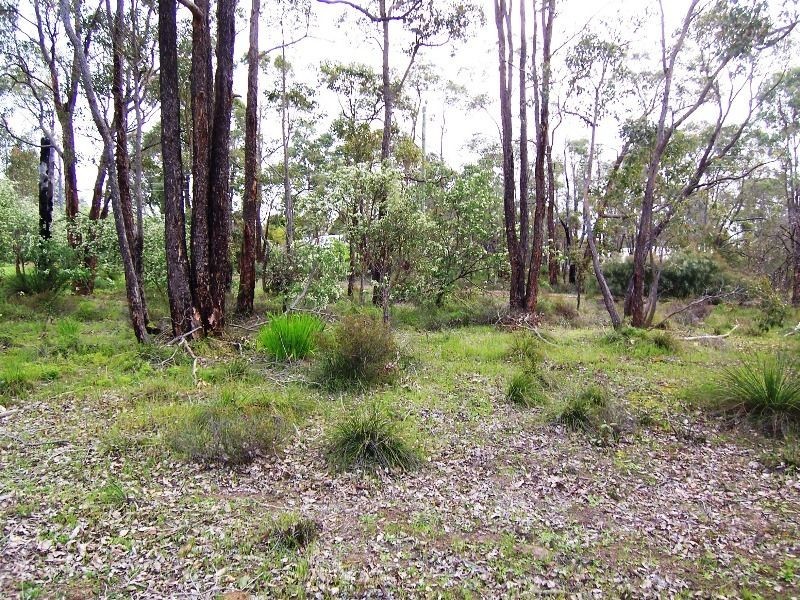 20 & 22 Stewart Street, Boyup Brook WA 6244