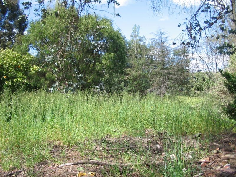 28 Steere Street, Bridgetown WA 6255