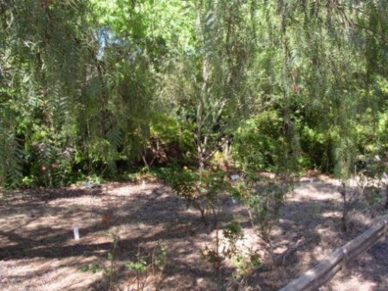 19 – 21 Gifford Road, Bridgetown WA 6255