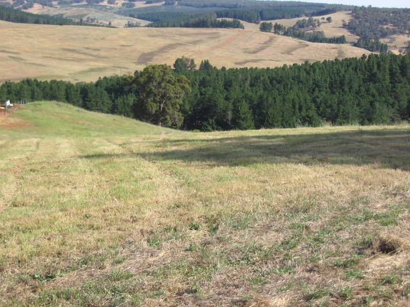 92 Maple View Court, Bridgetown WA 6255